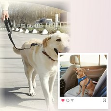 강아지 튼튼한 나일론 안전벨트 목줄 차량용 반려동물 산책용 안전띠 3color, 1개, 퍼플