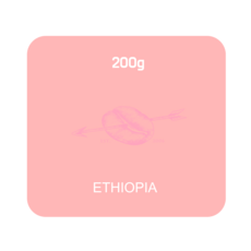 에티오피아 구지 아르소살라 워시드 200g, 1개