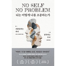 뇌는 어떻게 나를 조종하는가:과몰입하는 좌뇌 침묵하는 우뇌, 뇌는 어떻게 나를 조종하는가, 크리스 나이바우어(저) / 김윤종(역), 클랩북스, 크리스 나이바우어 외