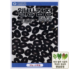 웰빙검정강낭콩 씨앗 검정 종자 블랙 강낭콩 콩 씨앗 텃밭 콩재배 30g 그린하트