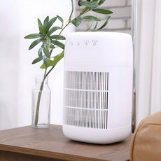 이놀 2 in 1 원룸형 저소음 미니 소형 제습기 공기청정기 1L, 화이트/그레이 [LX701]