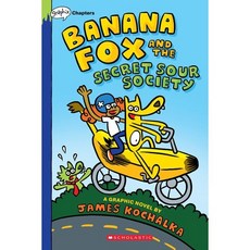 Banana Fox and the Secret Sour Society: A Graphix Chapters Book (Banana Fox #1): Volume...