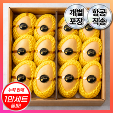 [도매직송] 태국 망고 골드망고 특대과 꿀당도 보장 선별발송, 1박스, 당도보장 5KG