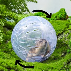 건shop디자인 햄스터 운동 놀이볼 햄스터운동장