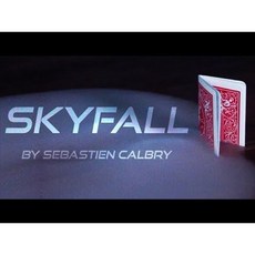 SKYFALL 撲克魔術道具 折疊變牌 效果震撼, 1個