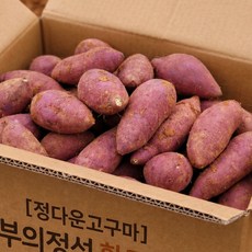 산지직송 황토 맛있는 꿀고구마, 1개, 10kg 한입 (소)