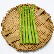 野菜部屋~ I59 UC-800 青莖蘆筍種子 中包裝, 1包