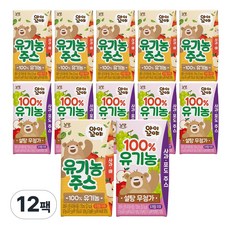 아이꼬야 유기농 주스 120ml 12팩 (사과배6+사과포도6)