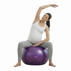 Body Sport 슬로우 릴리즈 65cm 운동 공 펌프 포함 가정 또는 사무실용 체육관 장비 안정성 피트니스 볼 임신 볼 코어 근력 훈련 장비