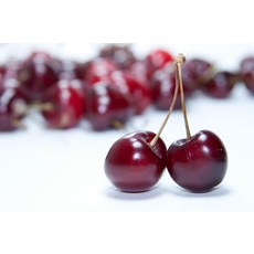 하루미르 고당도 칠레산 생체리 맛보기 300g 500g, 대과, 1개