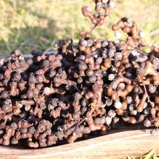 제천 월악산 헛개열매, 1박스, 1k