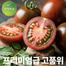 [참된농부] 프리미엄급 고품위 흑대추 방울토마토, 1박스, 2kg