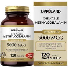 Oppuland Methyl B-12 5000mcg 츄어블 엽산 함유 - 비타민 B12 메틸코발라민 설하 정제 - 에너지 및 뇌 기능 지원 - 비건 보충제 - 오렌지 맛 - 1, Oppuland Methyl B-12 5000mcg 츄, 1개, 120정