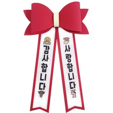 꽃요정 에바폼 아기화환 인간화환 스승의날 어버이날, 1개, 감사합니다 / 사랑합니다