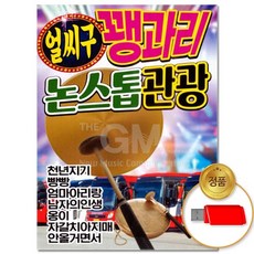 USB_얼씨구 꽹과리 논스톱 관광 81곡 차량용 트로트 트롯 디스코 메들리 가요 애창곡 음악, 없음