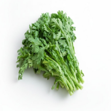 친환경 쑥갓 국거리 샤브샤브 채소, 150g, 1개, 1kg