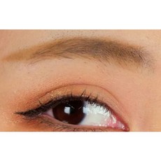 NI&ZP excel 3合1持久造型眉筆 共8色 眉刷 眉筆 眉粉, 1個, PD07 (絕版品)