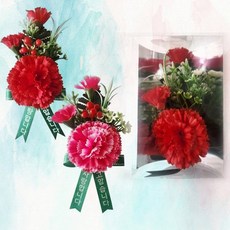 [마이비컴]레드열매 리본 카네이션 (케이스형), 레드