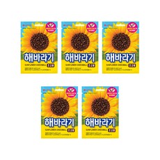 롯데제과 해바라기 초코볼, 80g, 5개