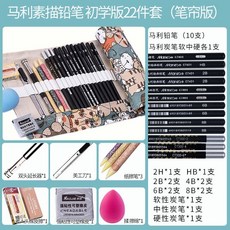 素描套裝美術用品2B鉛筆套裝 全套學生繪畫工具 鉛筆盒 炭筆碳筆, 筆簾版素描鉛筆22件套, 1個