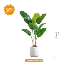 대형 인조나무 조화 매장 개업 극락조 화분 큰잎 가짜, 트래블러스팜 1.2m + 화이트 원형 화분 B