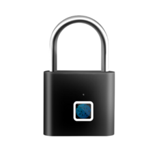 Home H you 智能指紋電子鎖 鋅合金防盜掛鎖, 黑色, 1個