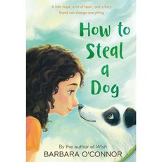 How to Steal a Dog (Paperback 미국판) - 개를 훔치는 완벽한 방법, Square Fish