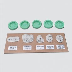 동물화석 만들기(5종)