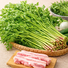 {산지직송} 국내산 청정 청도미나리 특품, 1박스, 500g