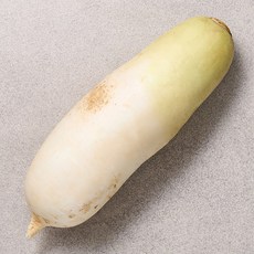 맛있는 국내산 제주 월동무 세척무, 1개, 3kg