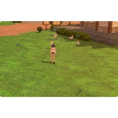 懷舊網游《洛奇》Mabinogi-G17免虛擬機一鍵單機端 視頻教程 卡片管理工具, 1個