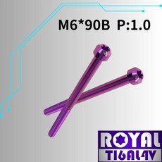 ROYAL 鈦合金錐形螺絲 M6*90B P:1.0 皇家紫, 1個