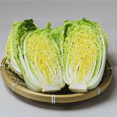 남도 고기 쌈배추 1.5kg (Araium)