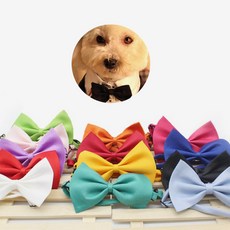 [홍이네] 댕냥이 반려동물 리본목걸이 보타이 리본타이 나비넥타이 고양이 강아지 목줄, 화이트, 1개
