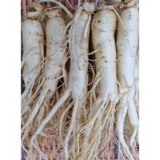 양질의토양에서자란6년근풍기인삼 6년근 난수삼1004g 서비스택배세척인삼 현대만석인삼사, 254g, 1개