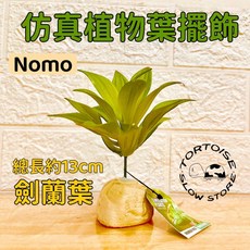 Nomo 仿真植物葉擺飾, 劍蘭葉