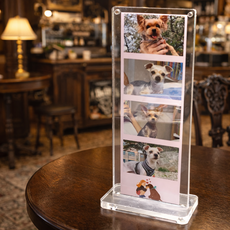 몽이아 2x6 투명 아크릴 자석 냉장고 스탠드 사진 액자 인생네컷 포토이즘 납골당, 3개, 자석투명아크릴액자세트+받침대