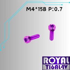ROYAL 鈦合金錐形螺絲 M4*15B P:0.7, 1個