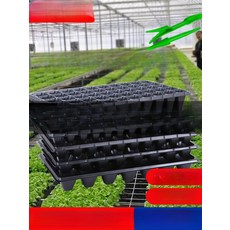 cha 모판 재배 트레이 깔끔하고편리 모종트레이, 가족 세트 150g 50구 2개 150g 2개, 1개, 1g