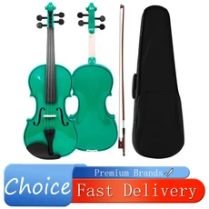 IRIN 4/4 바이올린 V-10 있는 원목 전문가용 다양한 색상 초보자 연습용 케이스 및 활 포함, 02 TQ0099