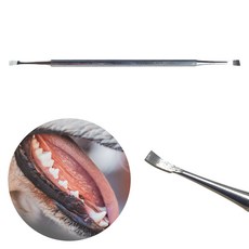 아미코 강아지 셀프 치석제거기 세트 고양이 스케일러, 1개, 사각형 치석제거기