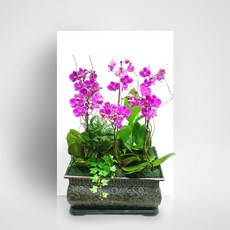 만천홍MTFF007, 서울특별시／광역시／경기도, 베이직, 필요없음