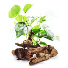 沉木水族造景 魚缸生態裝飾, 1個