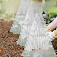 식물투명온실 100개 덮개 꼬깔 텃밭 비닐하우스 묘목 보호 깔때기 1개 1. 보호덮개/투명/100개