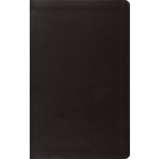 (영문도서)ESV Value Thinline Bible (Trutone Black) Imitation Leather, Crossway, English, 9798874903299