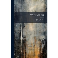 (영문도서)Why We Lie Hardcover, Hutson Street Press, English, 9781025128580