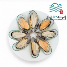 그린홍합 뉴질랜드 초록입 그린 홍합 M 초록입홍합, 1개, 800