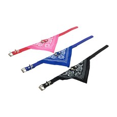 애구애구 강아지 선글라스 안경 썬구리, 1개, 간+장건강, 1g