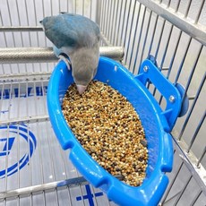 새 목욕 욕조 그릇 분지 앵무새 케이지 교수형 목욕 상자 앵무새 용품 룸 피더 조류 청소 용품, 1개