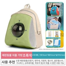 슈가글라이더 날다람쥐 여행용 가방 햄스터 앵무새 애완동물 새 조류 소형 동물 경량 휴대용 통기성 용품 반려동물 캐리어, 1개, 초록색 소형 통기성 외출 가방